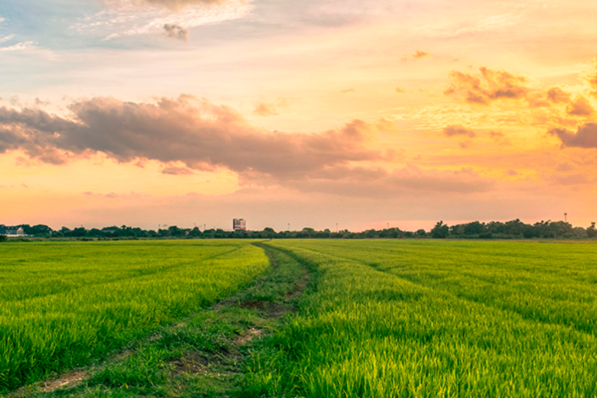 Gescooperativo triplica el patrimonio en fondos sostenibles