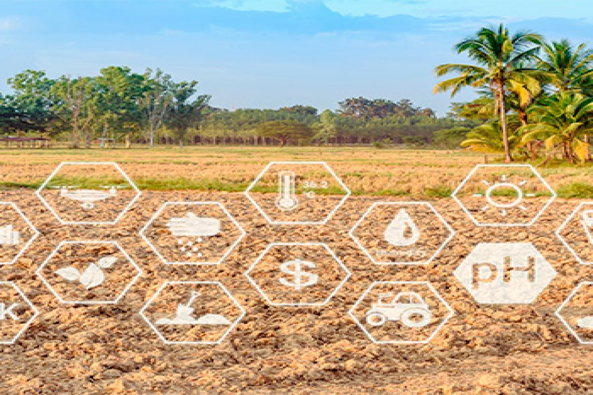 Agrotech, la necesaria transformación de la agricultura Agrotech, la necesaria transformación de la agricultura